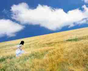 精﻿确​算‍法‌的‍概‍念﻿